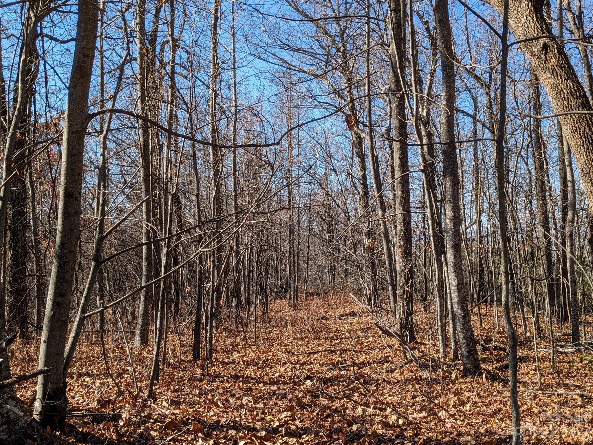 Gateway Mountain - Land