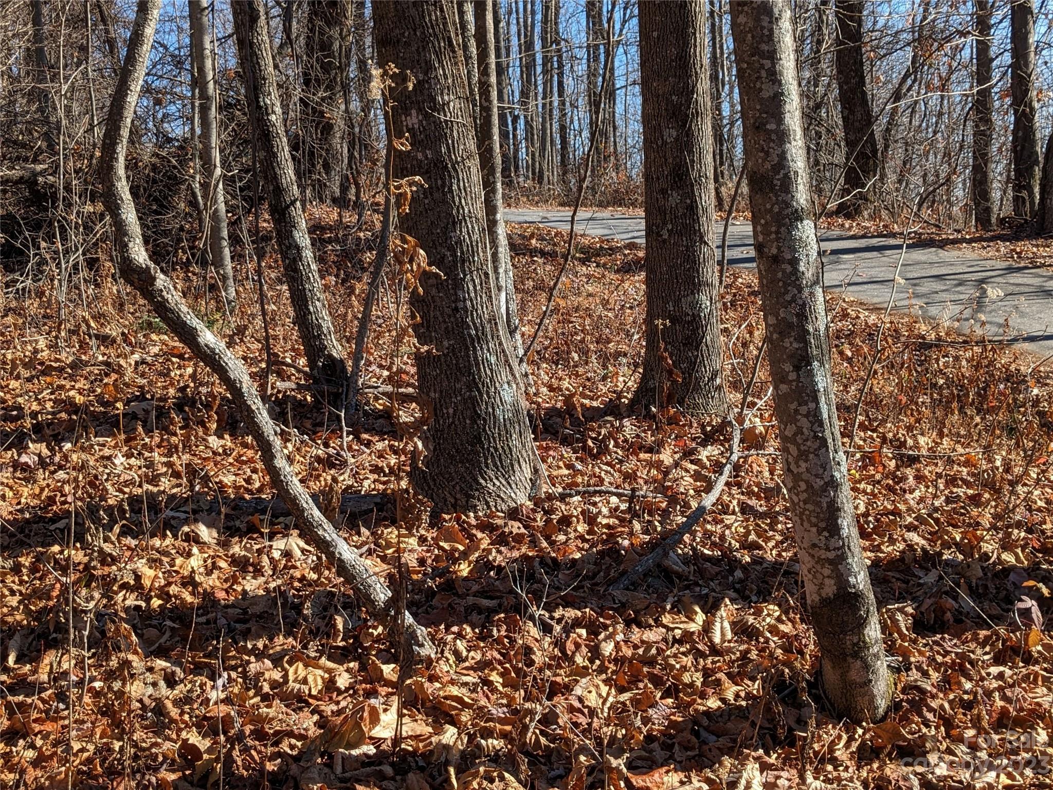 Gateway Mountain - Land