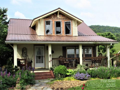 10 Gardening Frog Trail Waynesville NC 28785