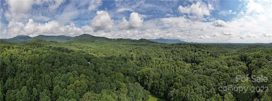 43.49 Amazing Acres Located in SC District 1 School District (Landrum High, OP Earl), And located just across the state line in the sought after Tryon neighborhood Gillette Woods! The acreage is mostly wooded with soaring hardwoods, oaks, pines, and teeming with wildlife. A 20 foot wide road/easement runs SE from Durham - all along the Western/bottom property line - which provides you with an already established roadbed in place for development!  The roadbed runs along a high ridge that offers winter views of the surrounding mountains.  Land slopes downward from Ridgeline. Property is unrestricted and could be subdivided & developed - OR - could be a great place to build a cabin in the woods to escape to. Town of Tryon water runs to Durham Dr. but buyer will need to determine if they will service property.  If you are looking for peace and quiet living, then look no further!!