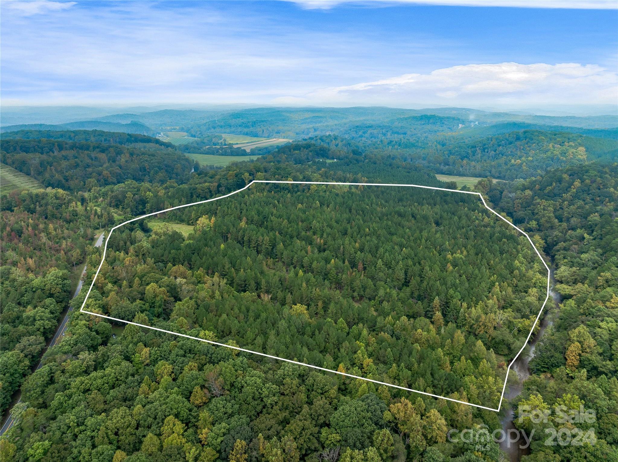 +/- 53 acres John Watson Road