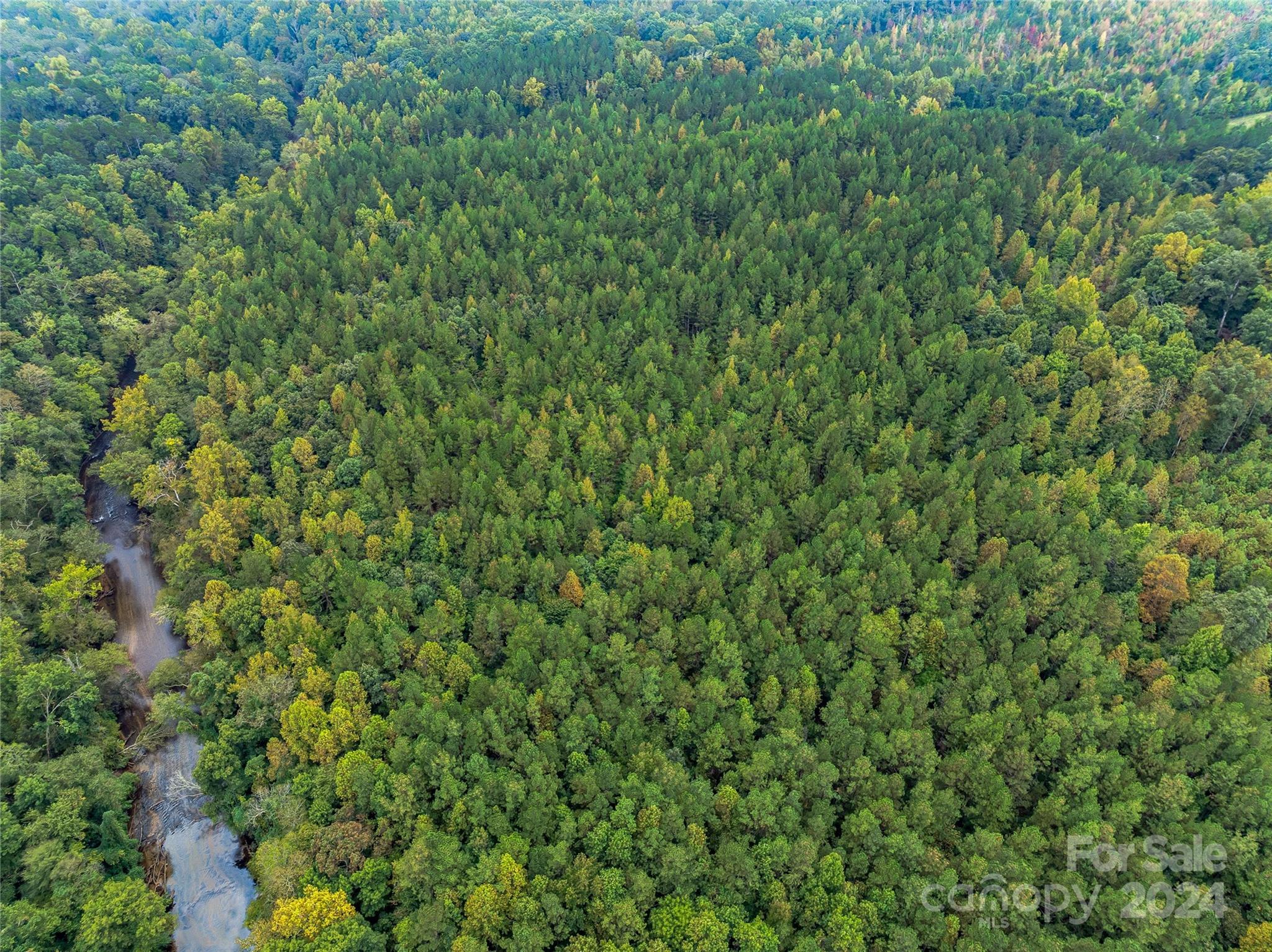 +/- 53 acres John Watson Road