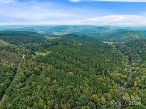 +/- 53 acres John Watson Road Rutherfordton NC 28139