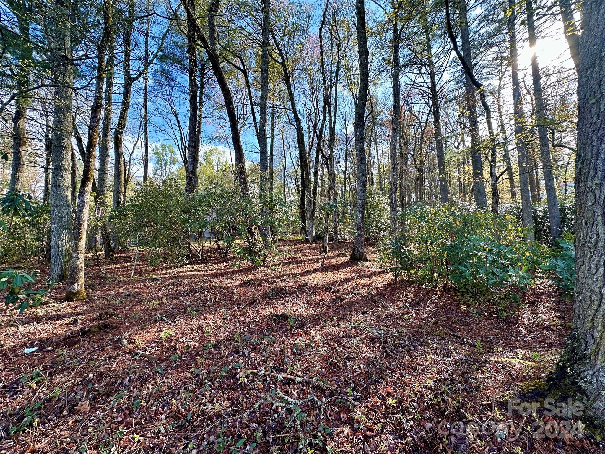 Lake Toxaway Estates - Land