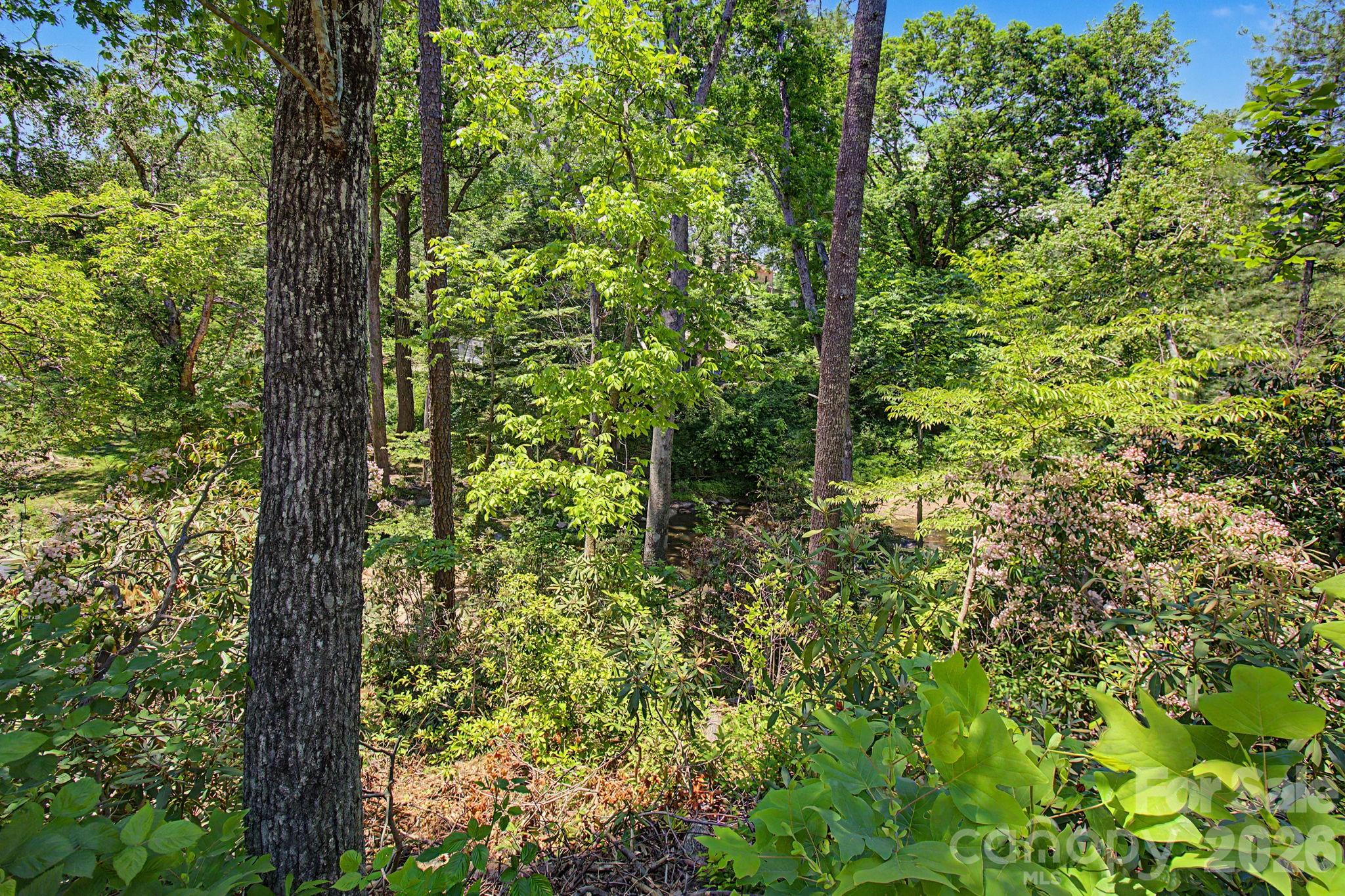 1355 Brookside Camp Road