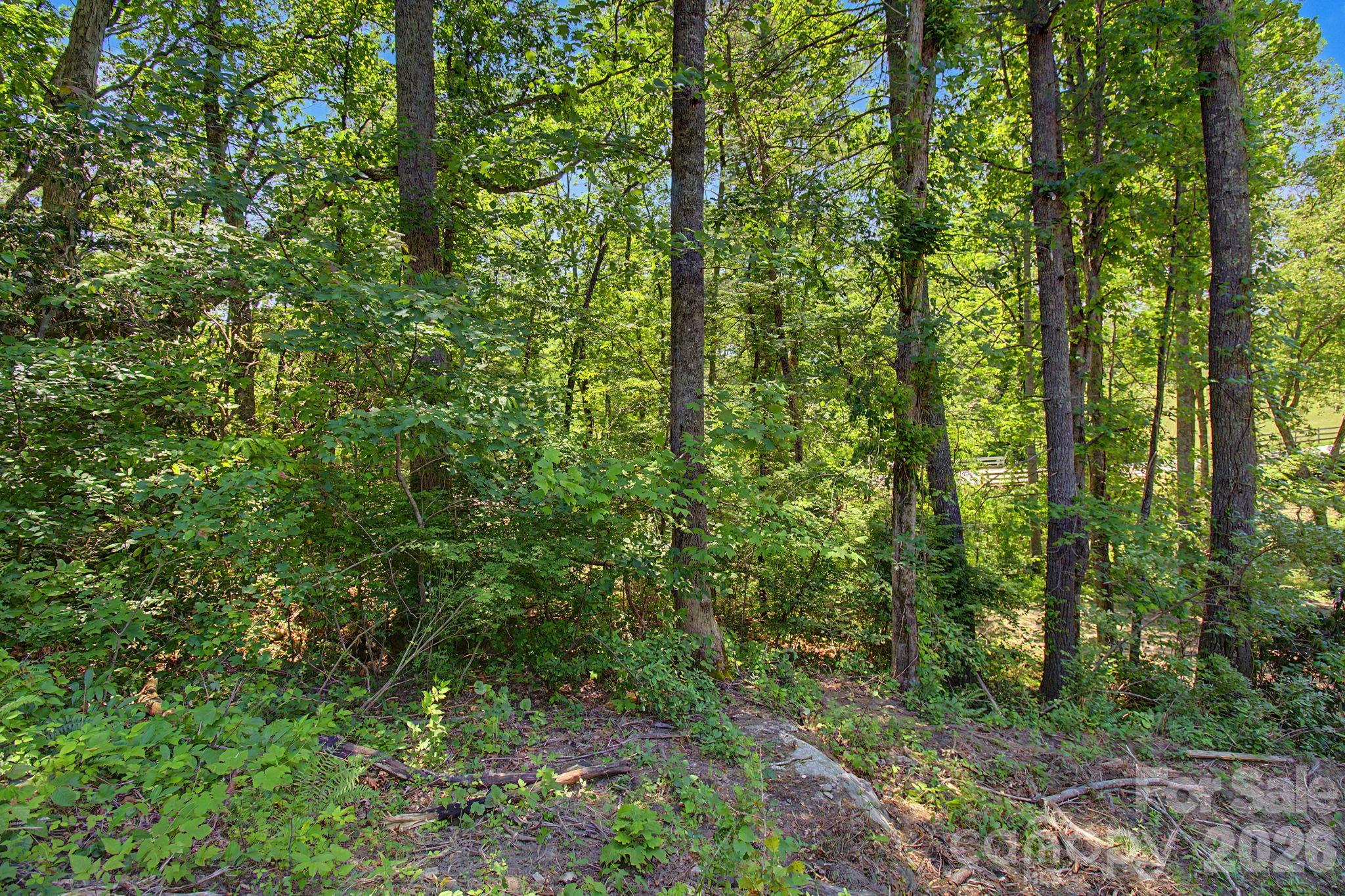 1355 Brookside Camp Road