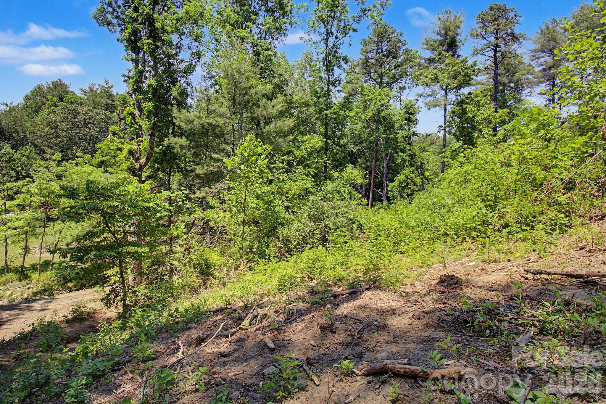 1355 Brookside Camp Road