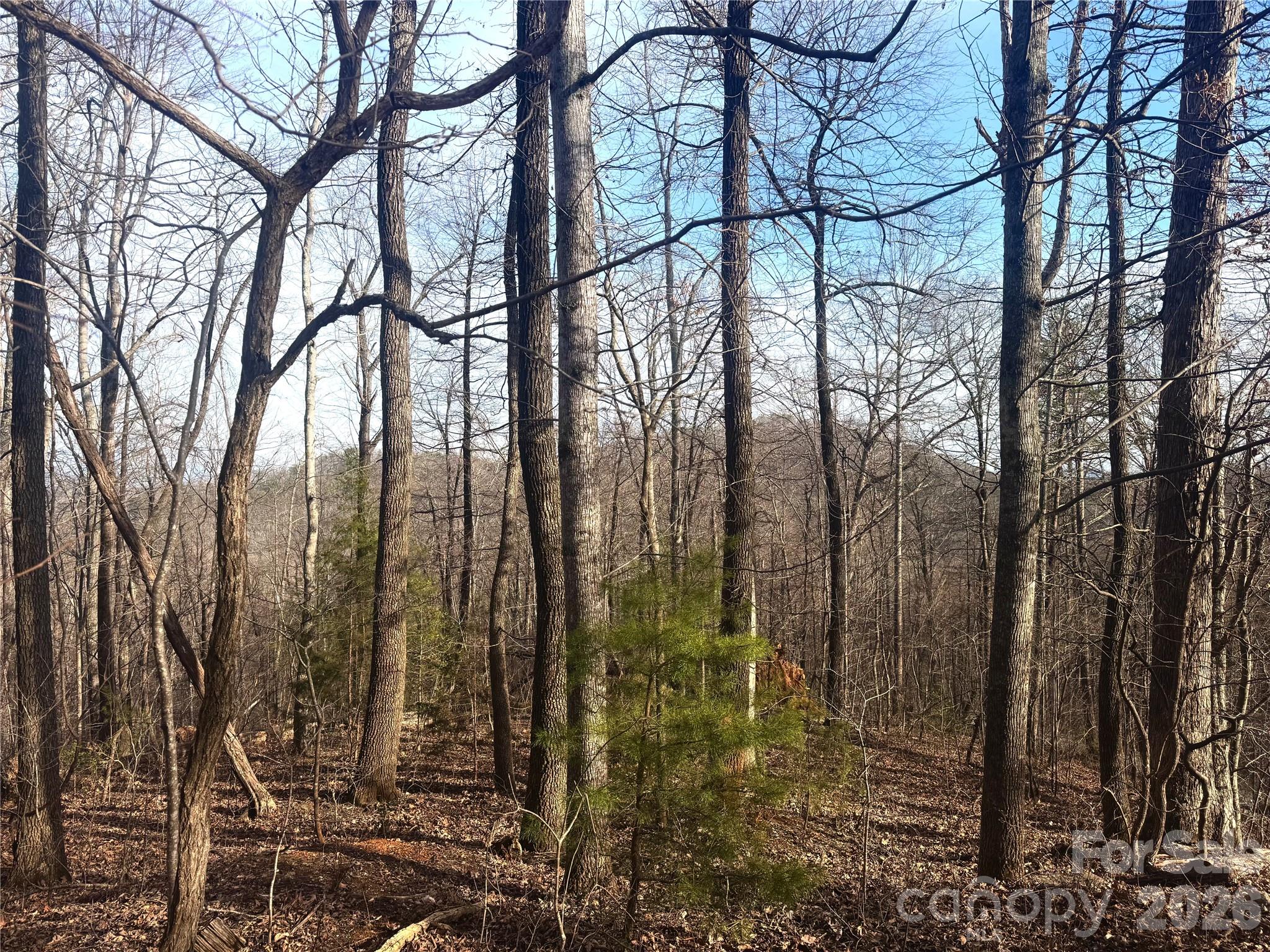 Riverbend Highlands - Land