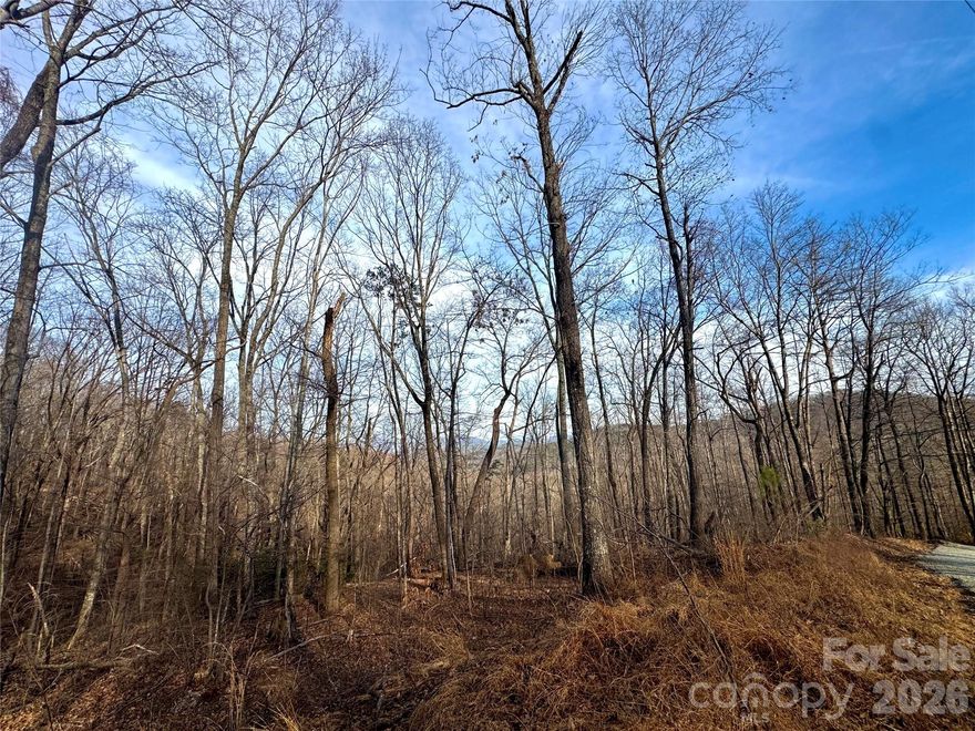 Discover this beautiful place to build your dream home in the highly sought-after Riverbend Highlands community in Lake Lure. This stunning 3.16-acre wooded homesite offers beautiful long-range views, peaceful surroundings, and the privacy you’ve been looking for.

With acreage, trees, and plenty of space to design and build, this lot provides the ideal setting to enjoy the natural beauty of the Blue Ridge foothills while being just minutes from the charm of Lake Lure, outdoor recreation, and community amenities. 

If you’ve been dreaming of mountain living with space, views, and serenity — this is your opportunity to make it a reality!