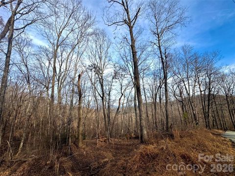 0 Peartree Drive Lake Lure NC 28746