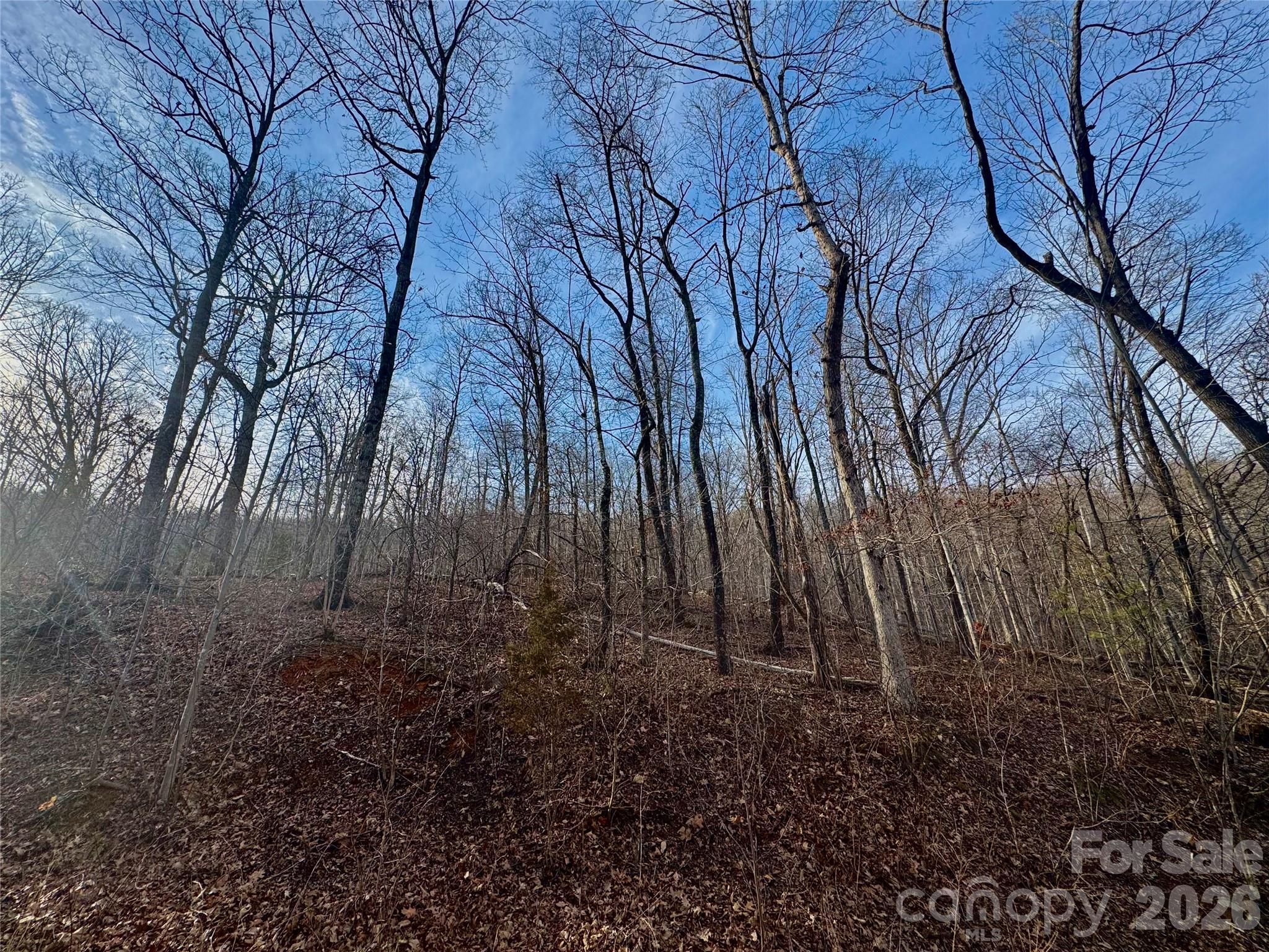 Riverbend Highlands - Land