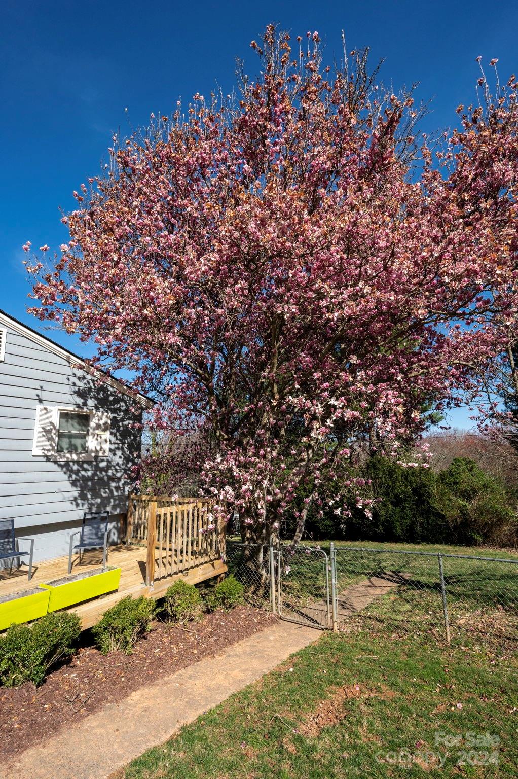 Stradley Mountain Park - Residential