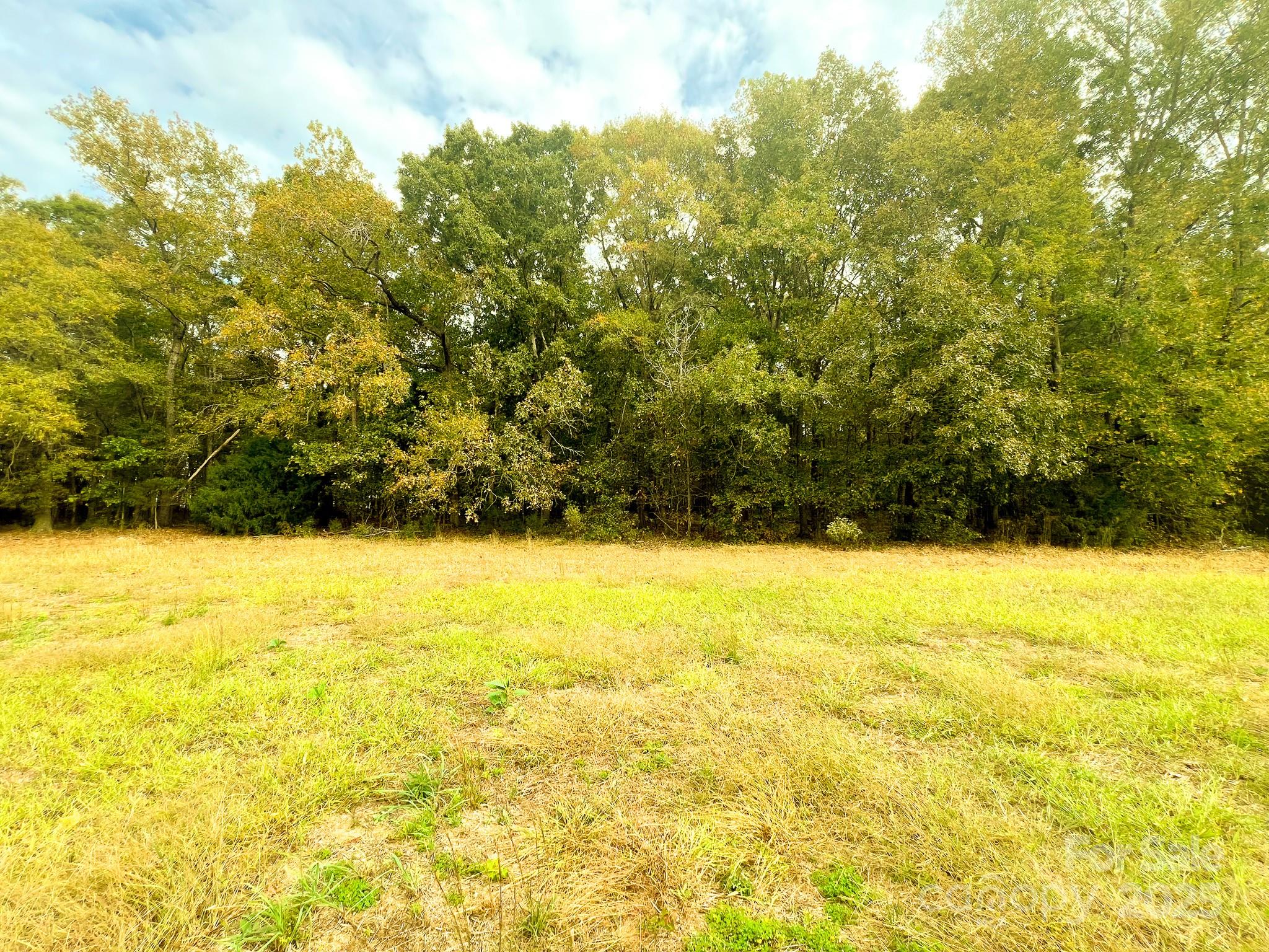 24990 Birdhouse Lane 4