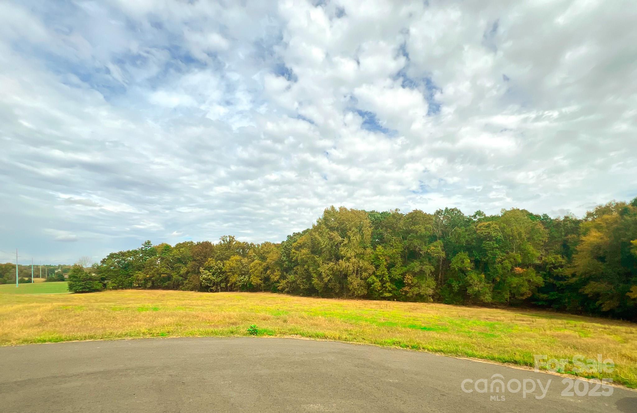 24990 Birdhouse Lane 4