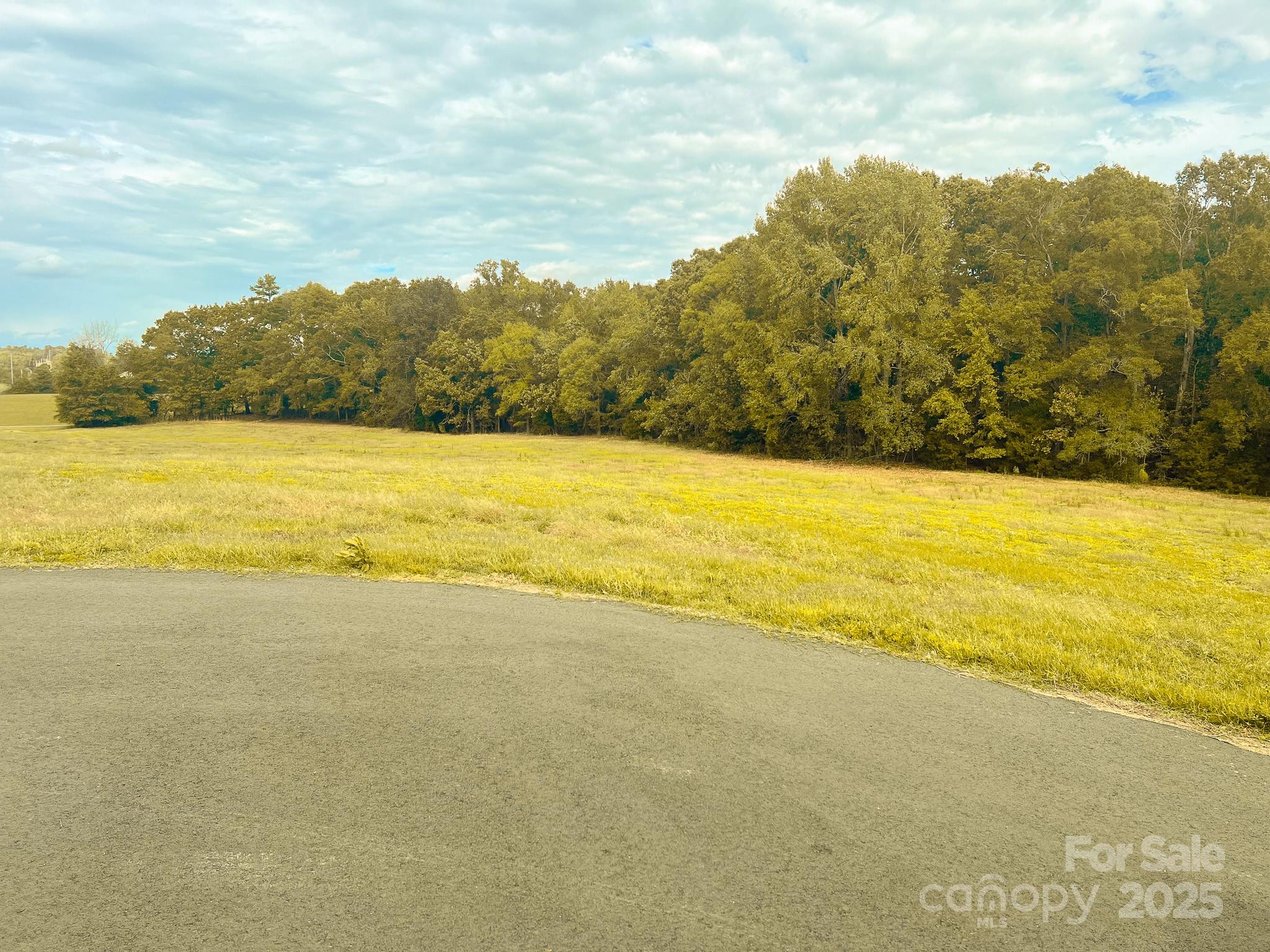 24990 Birdhouse Lane 4