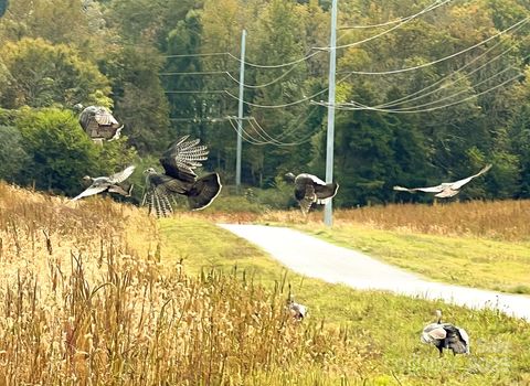 24990 Birdhouse Lane 4 Locust NC 28097