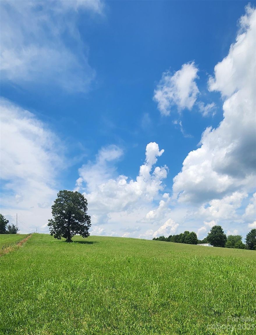 This beautiful 4 acre property offers an abundance of opportunities! Build your dream home, farm the land, enough acreage to take in any direction you would like! Property is cleared and ready to build on. Zoned RA-20 and county water is available, tap fee will be required, septic needed. Located in the Wittenburg district of Alexander County.