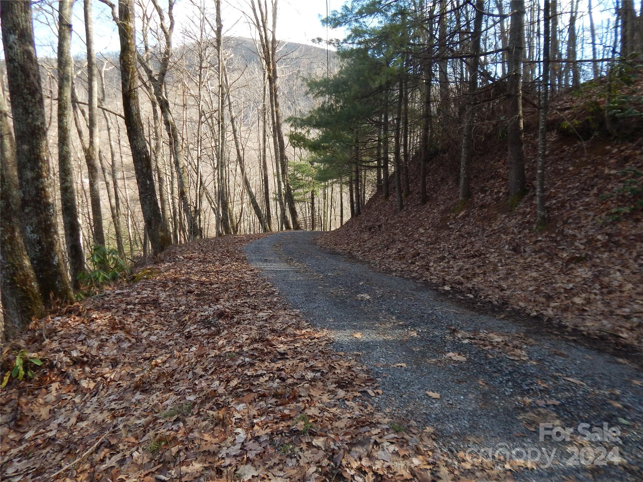 00 Hoot Owl Bill Road