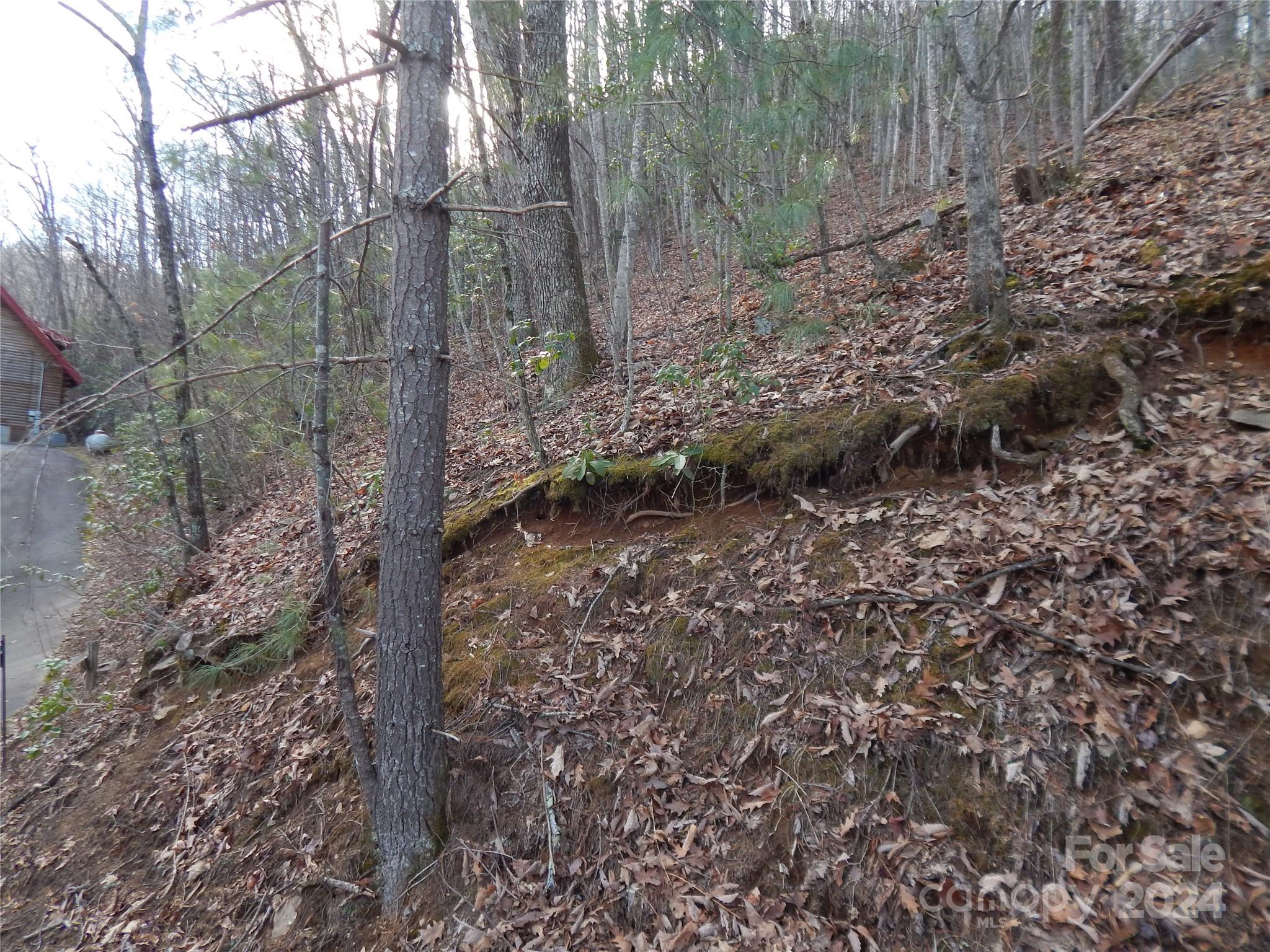 00 Hoot Owl Bill Road