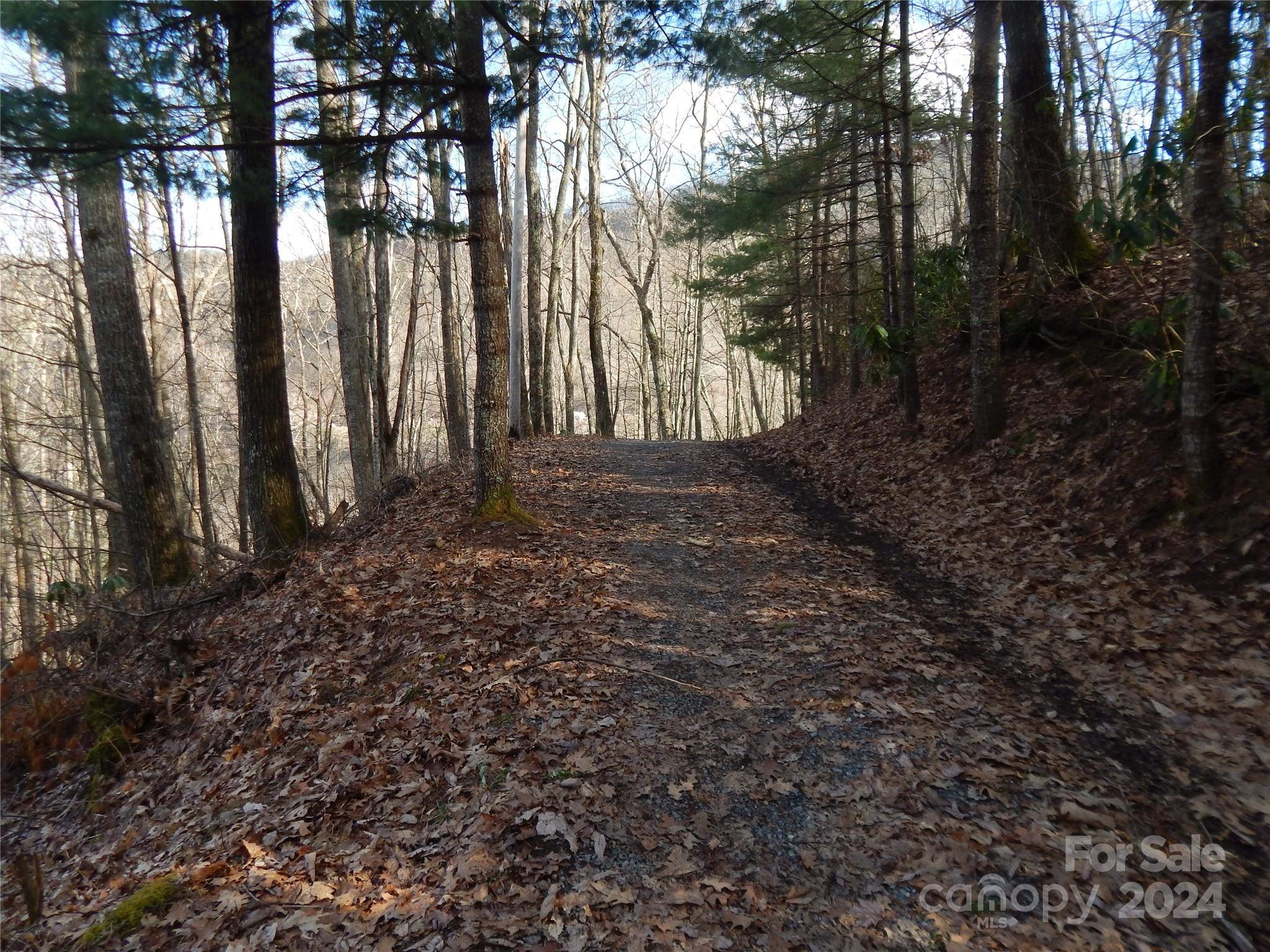 00 Hoot Owl Bill Road