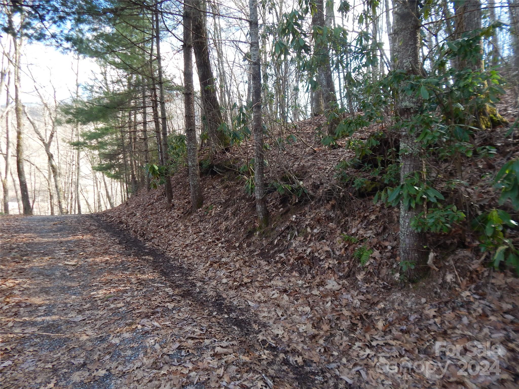 00 Hoot Owl Bill Road