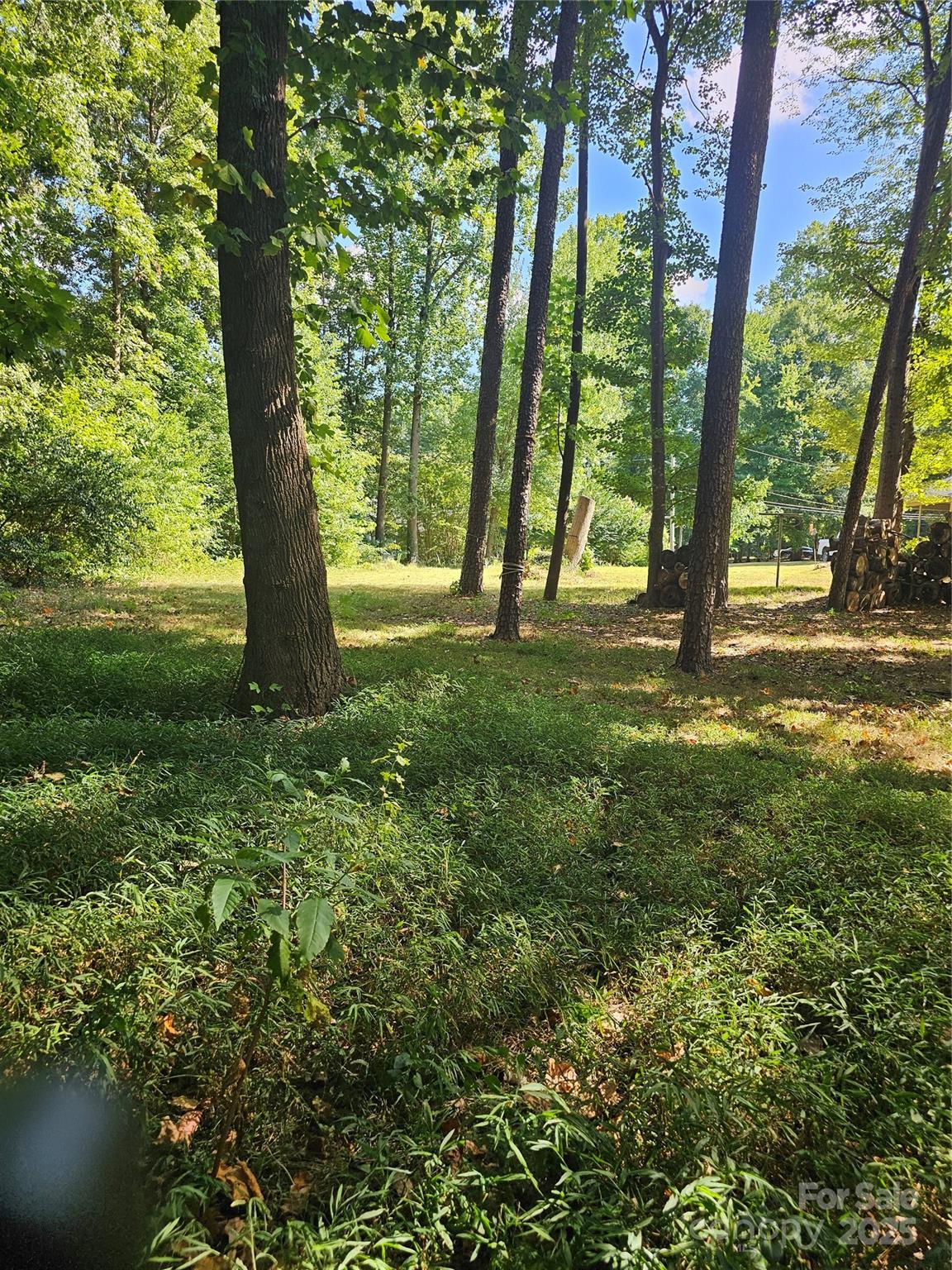 1915 Dove Drive