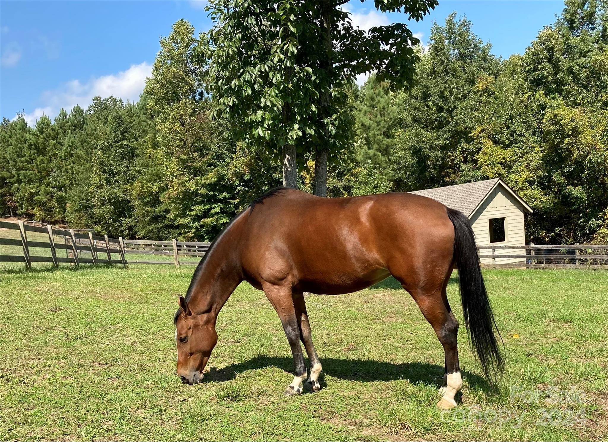 Derbyshire - Residential