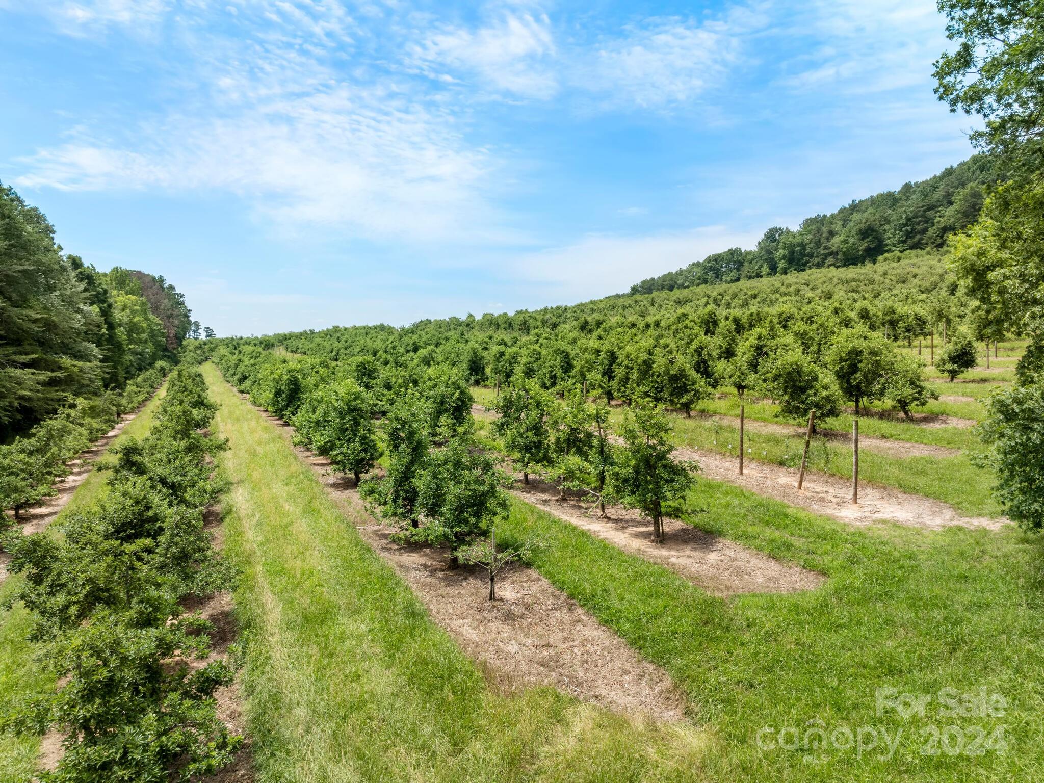Derbyshire - Residential
