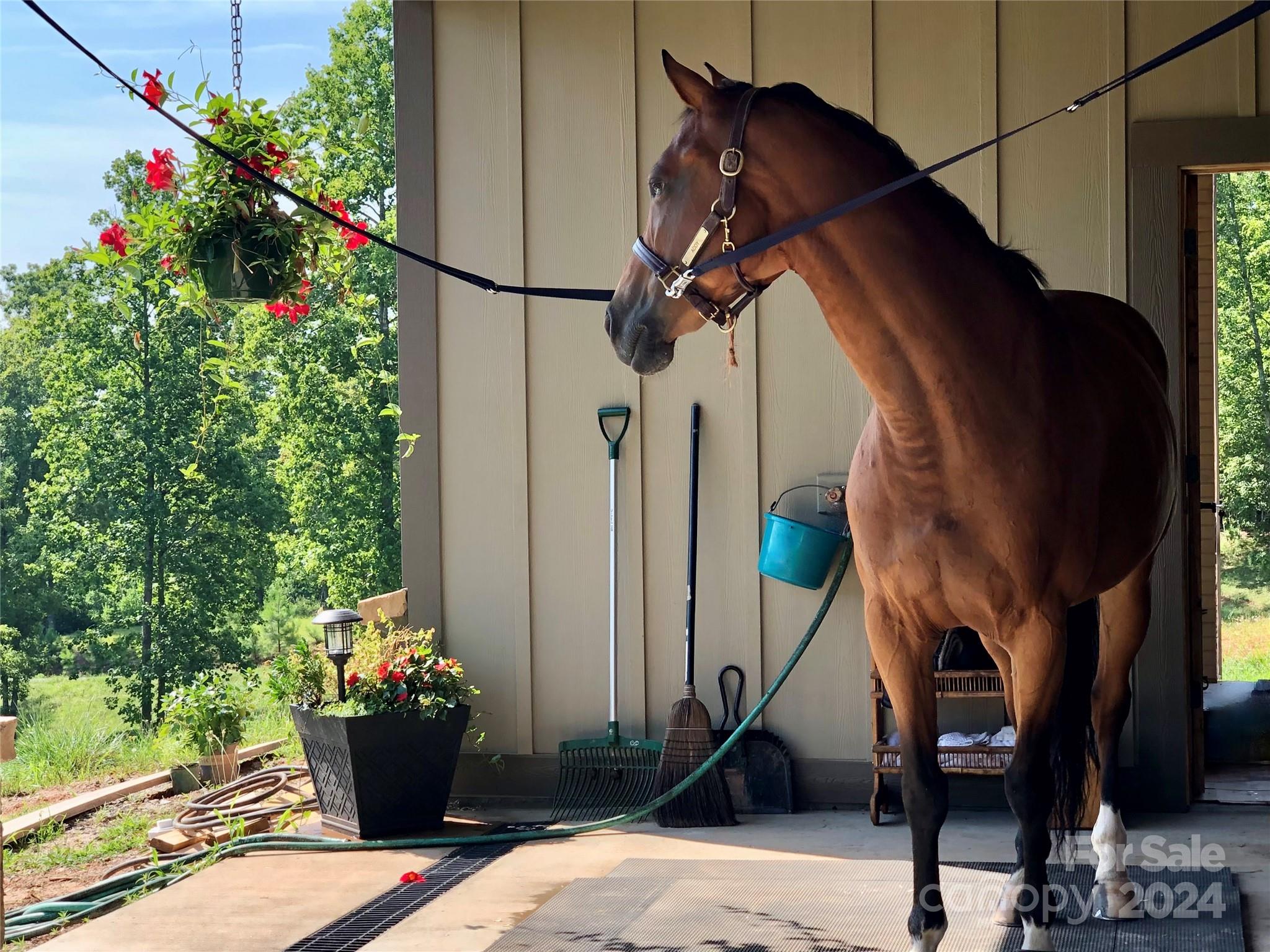 Derbyshire - Residential