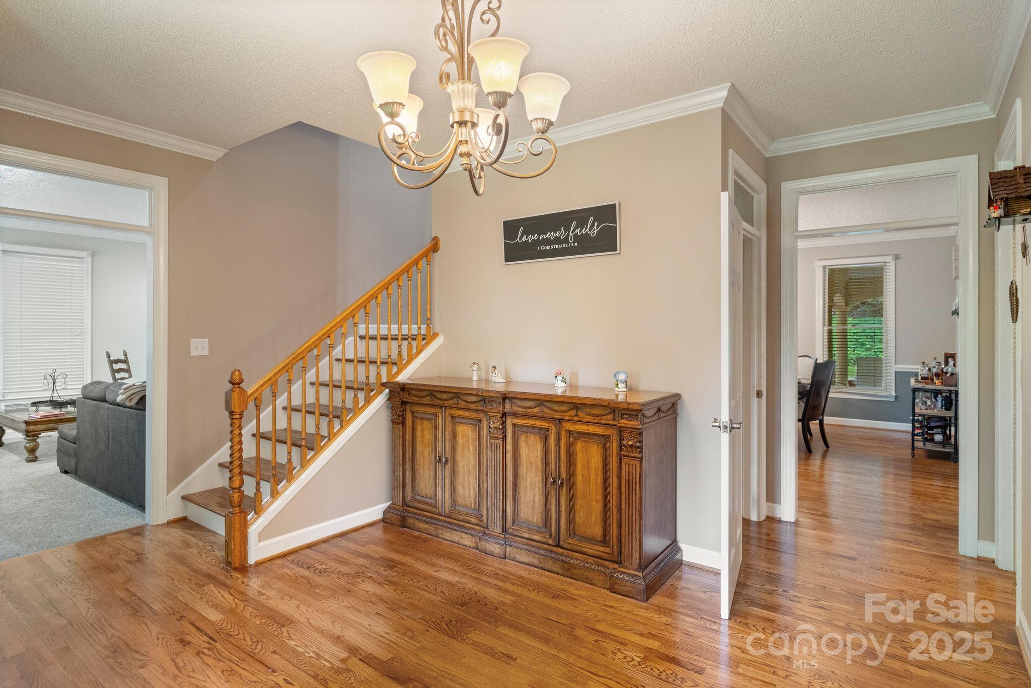 104 Belvedere Drive