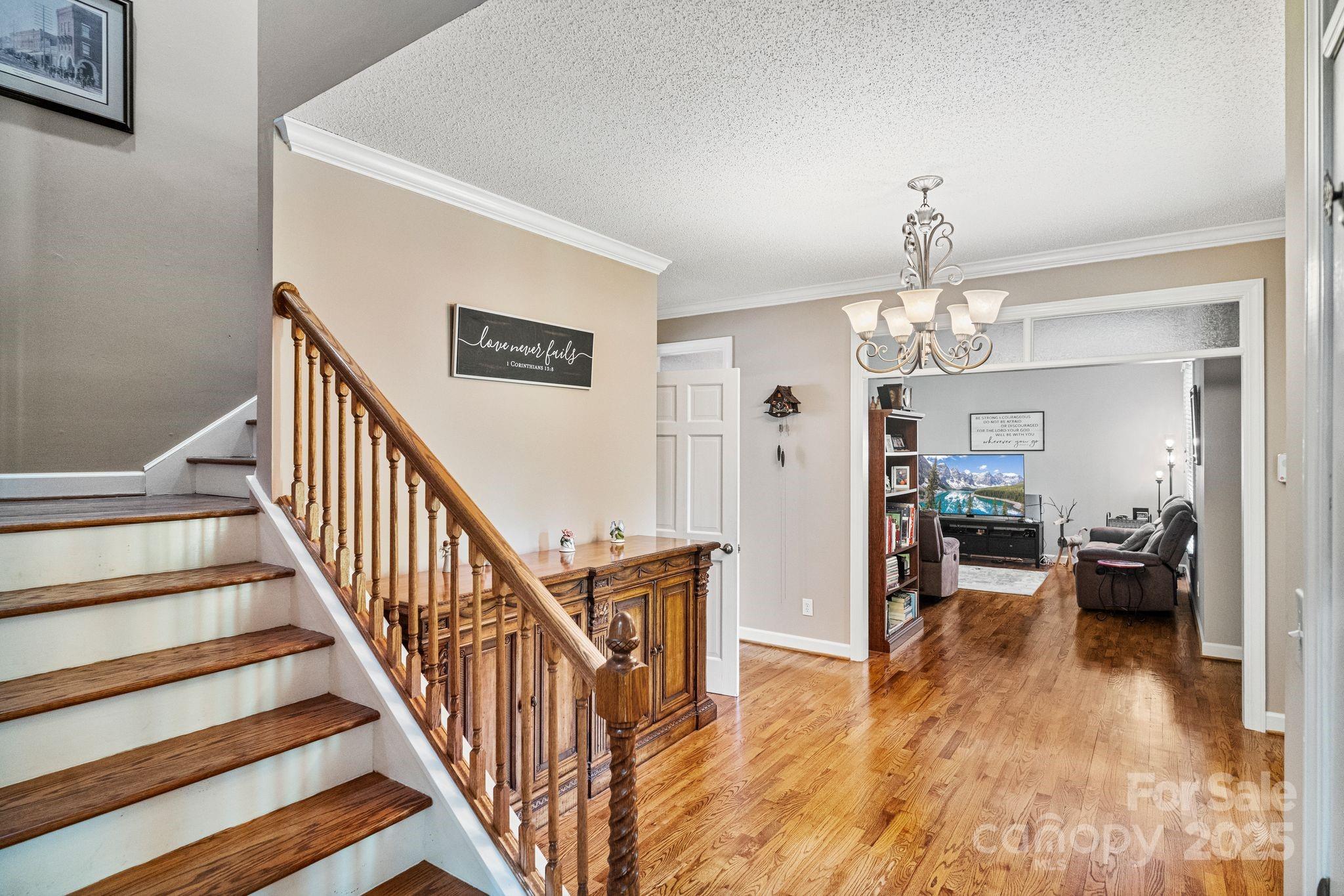 104 Belvedere Drive