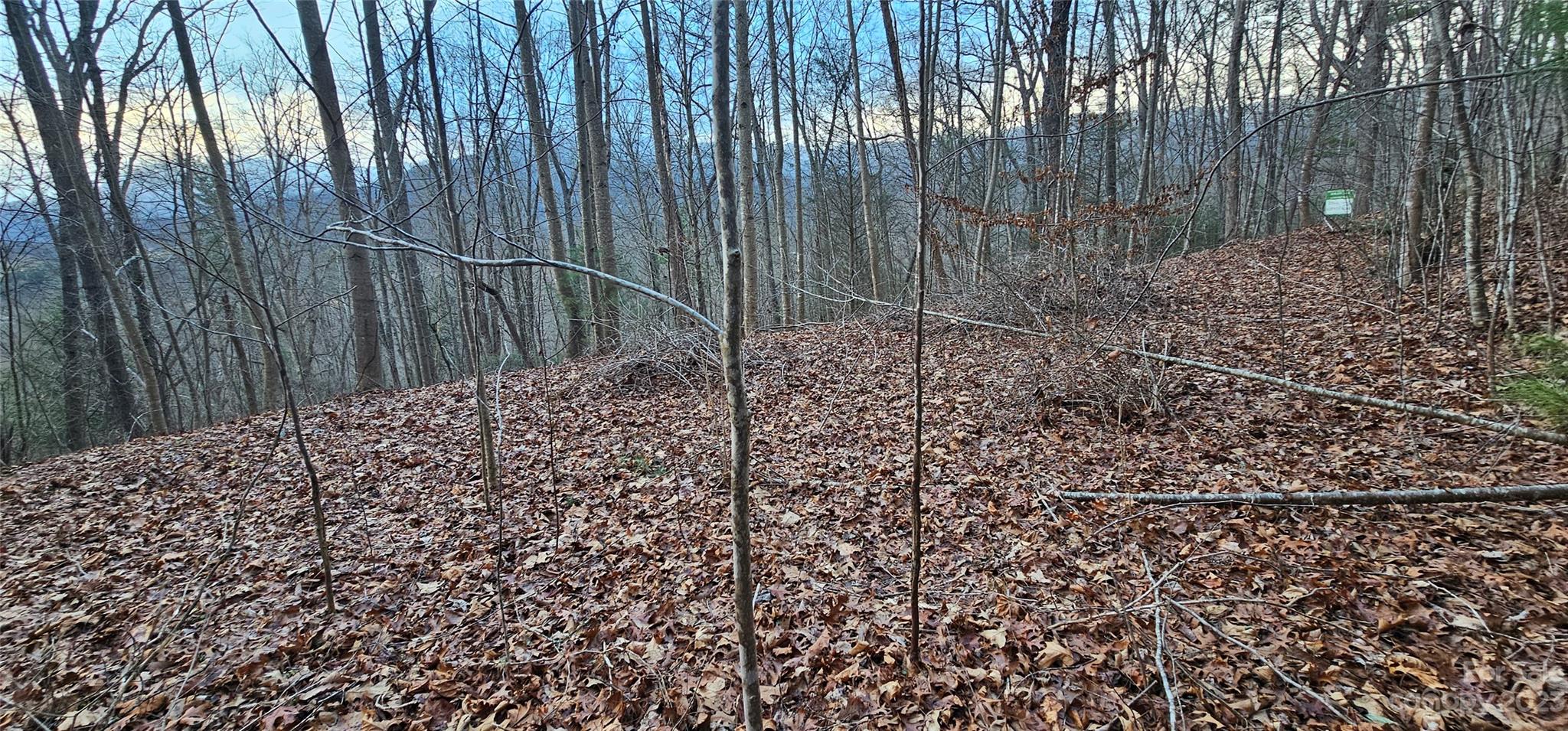 Seay Mountain - Land