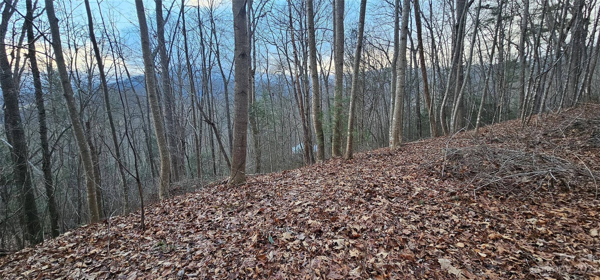 Seay Mountain - Land