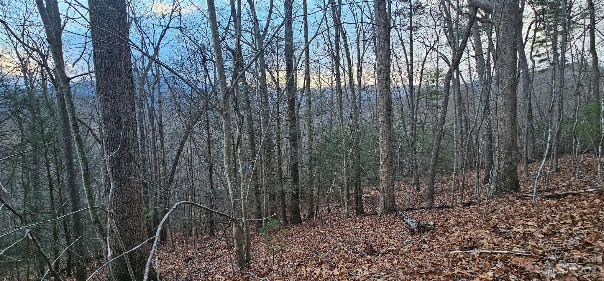 Seay Mountain - Land