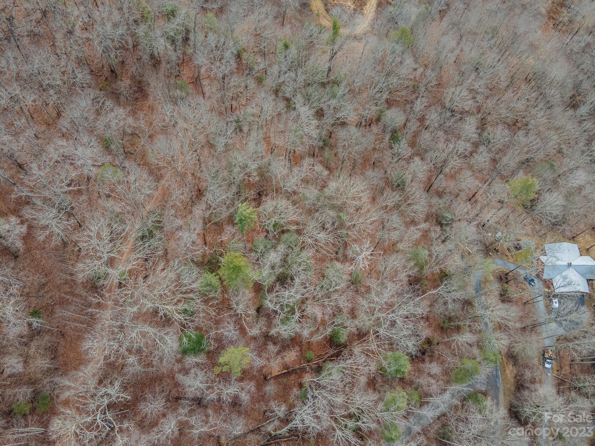 Seay Mountain - Land