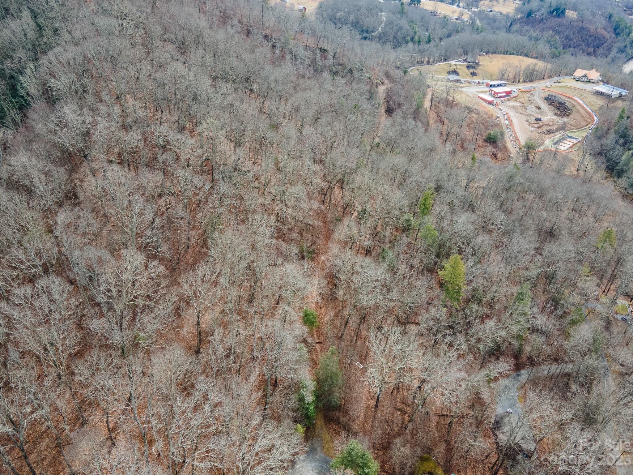 Seay Mountain - Land