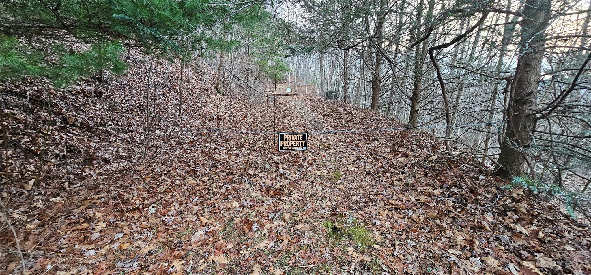 Seay Mountain - Land