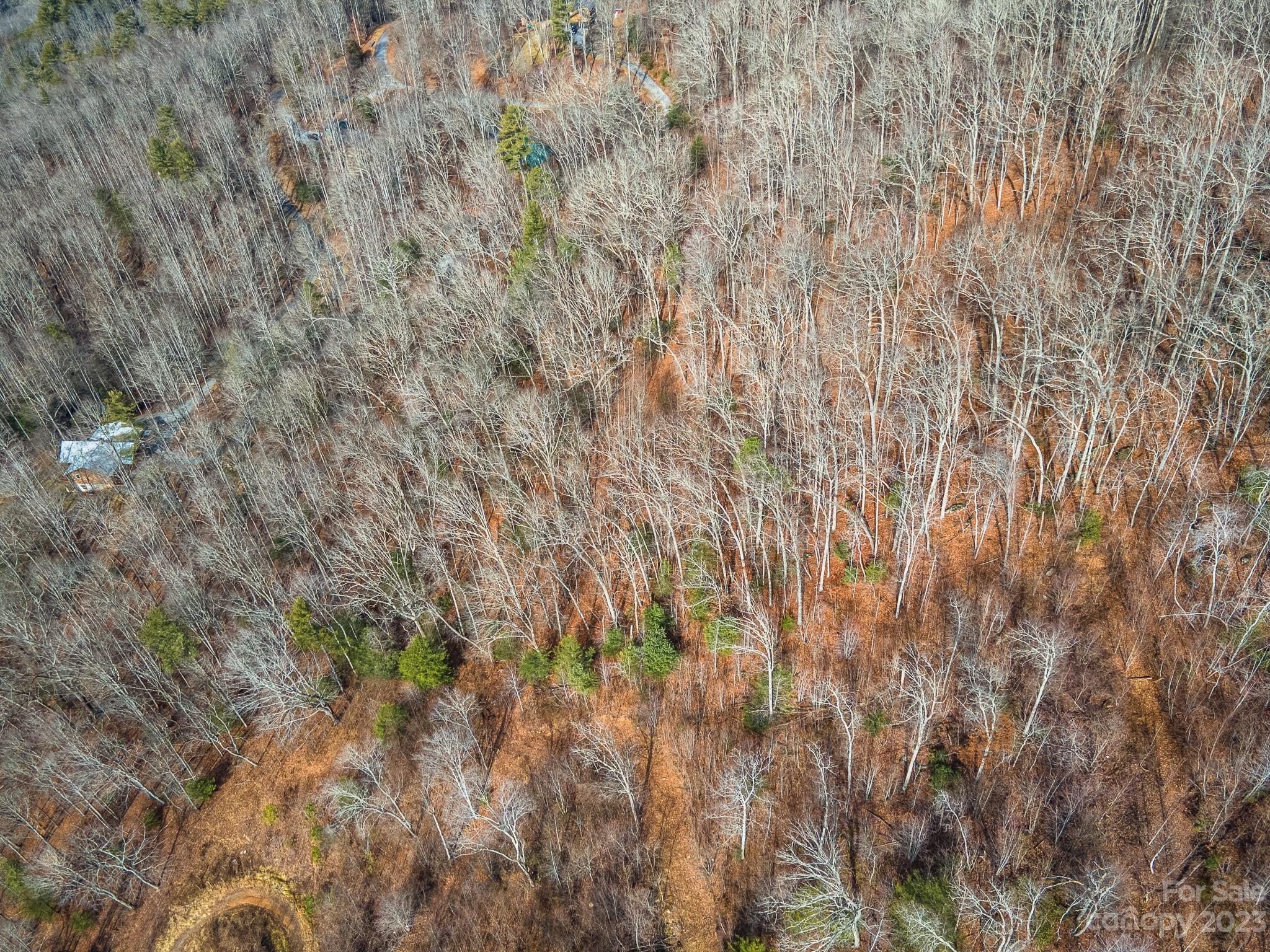 Seay Mountain - Land