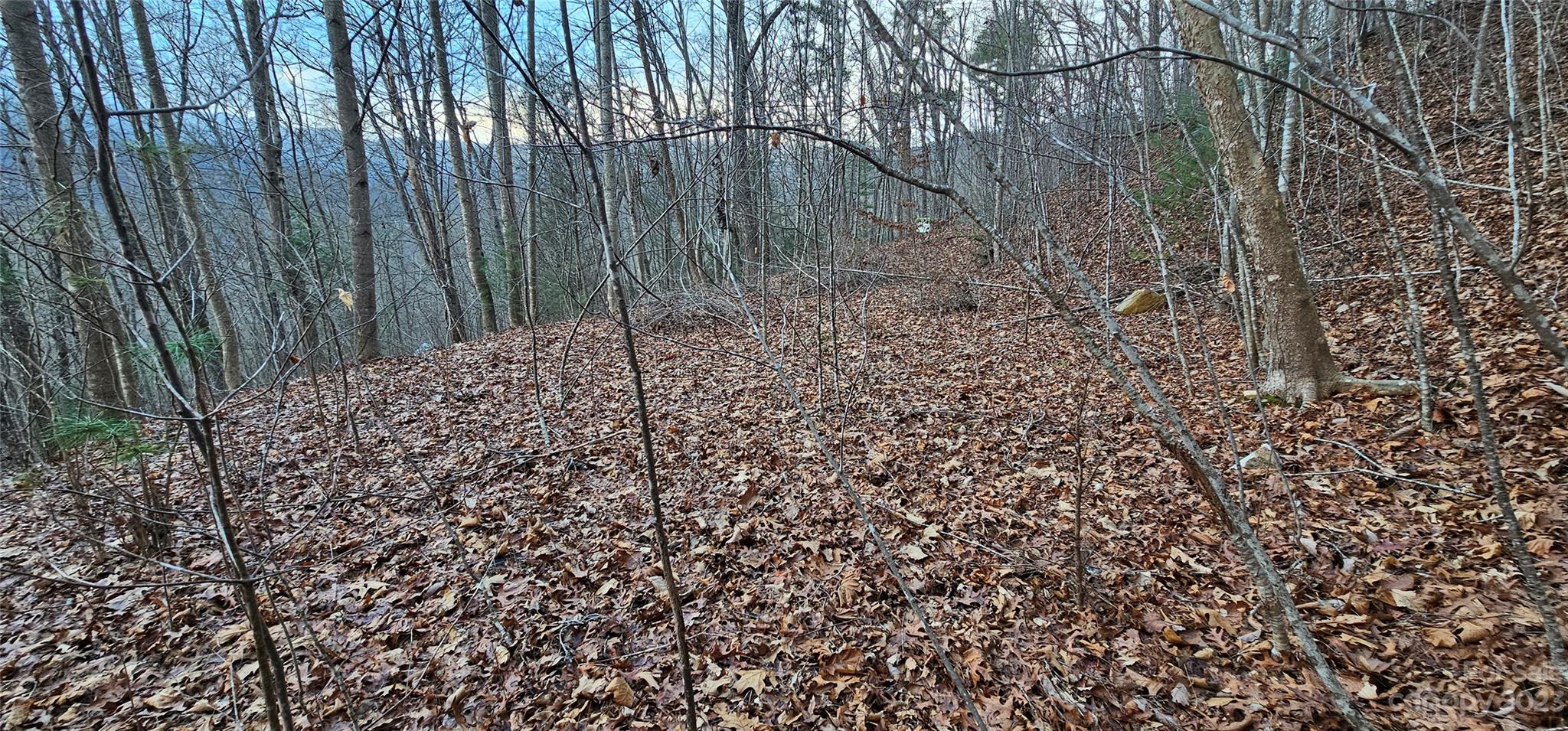 Seay Mountain - Land