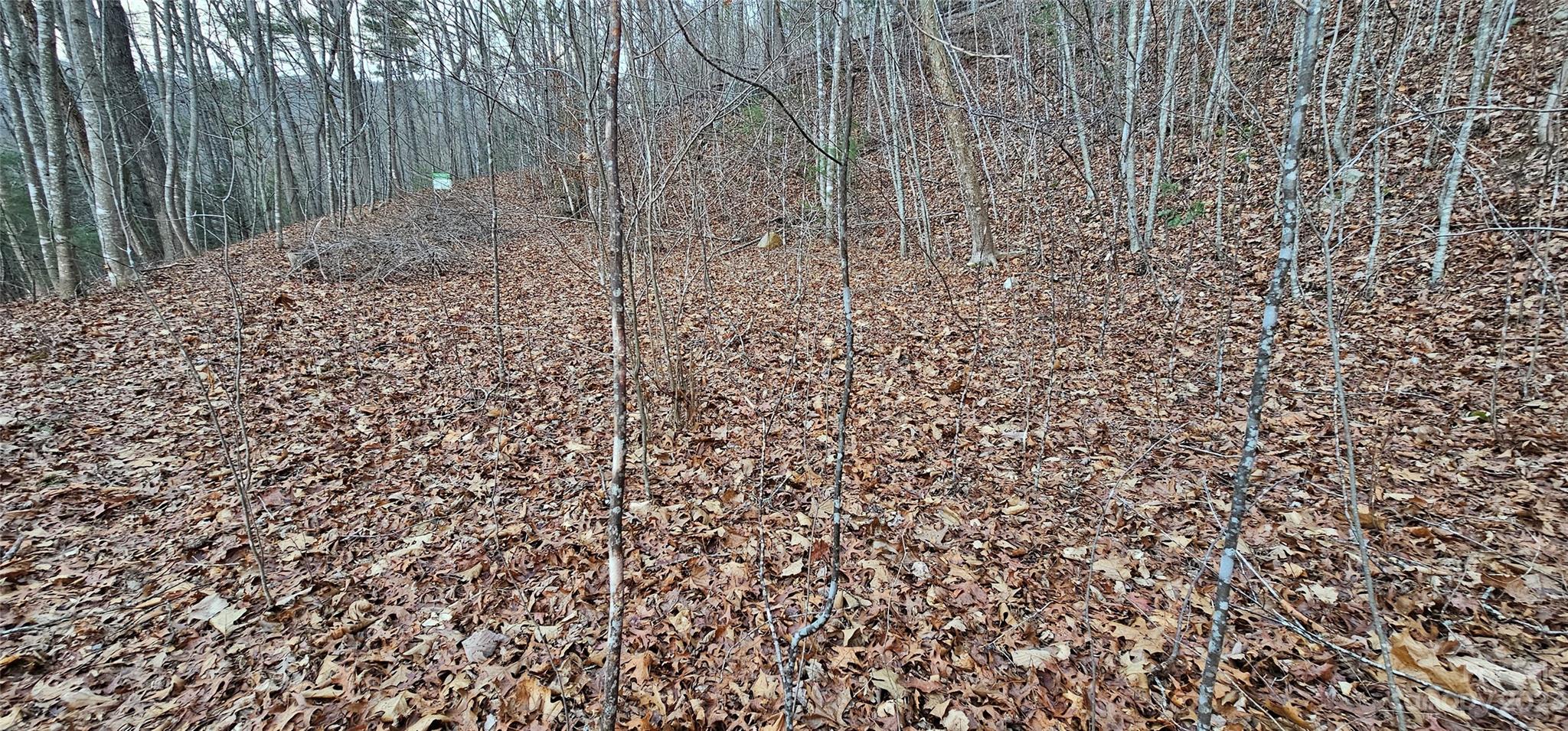 Seay Mountain - Land