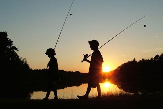 Tillery Tradition - Land