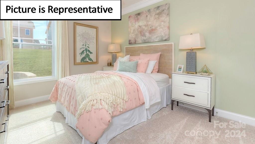 Falls Cove at Lake Norman - Residential