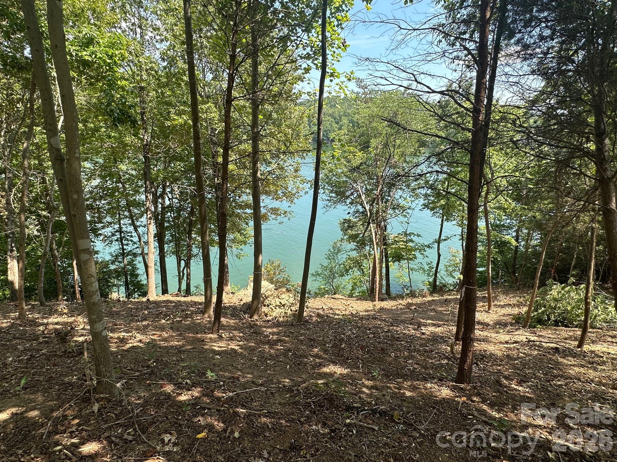 Blue Heron Point - Land