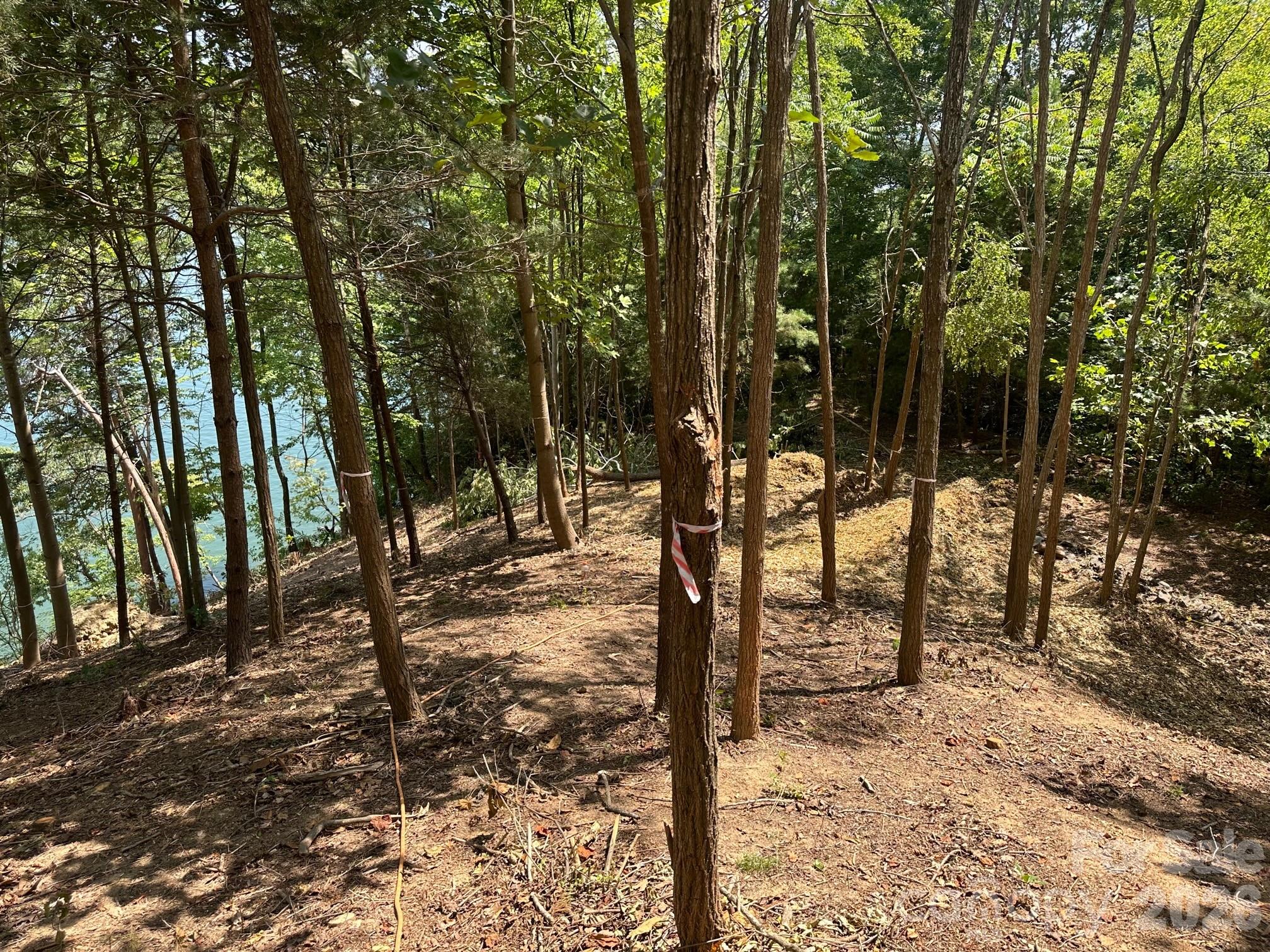 Blue Heron Point - Land