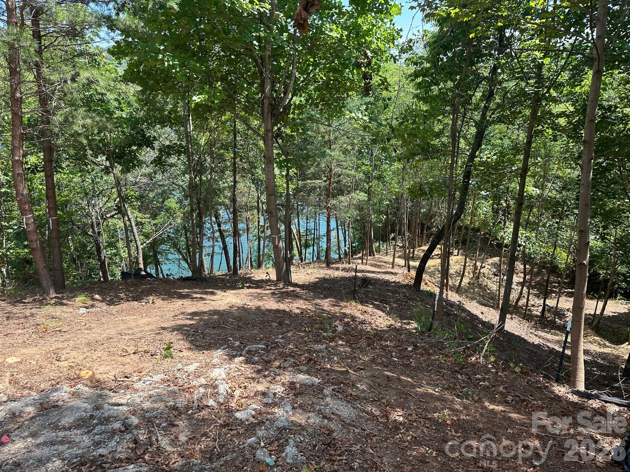 Blue Heron Point - Land