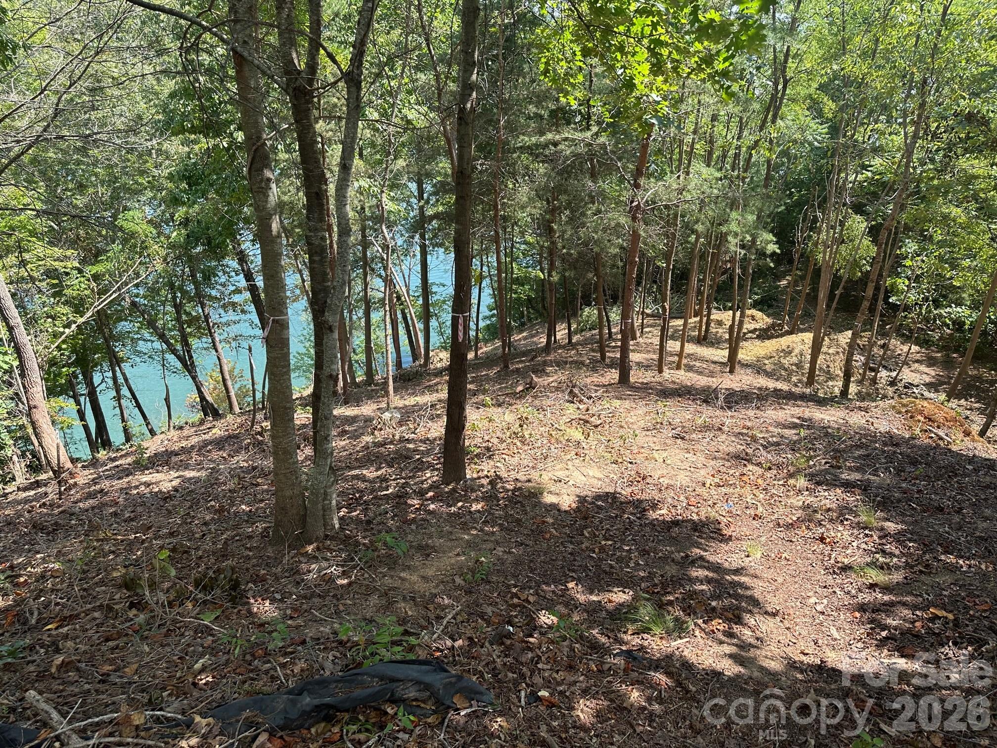 Blue Heron Point - Land