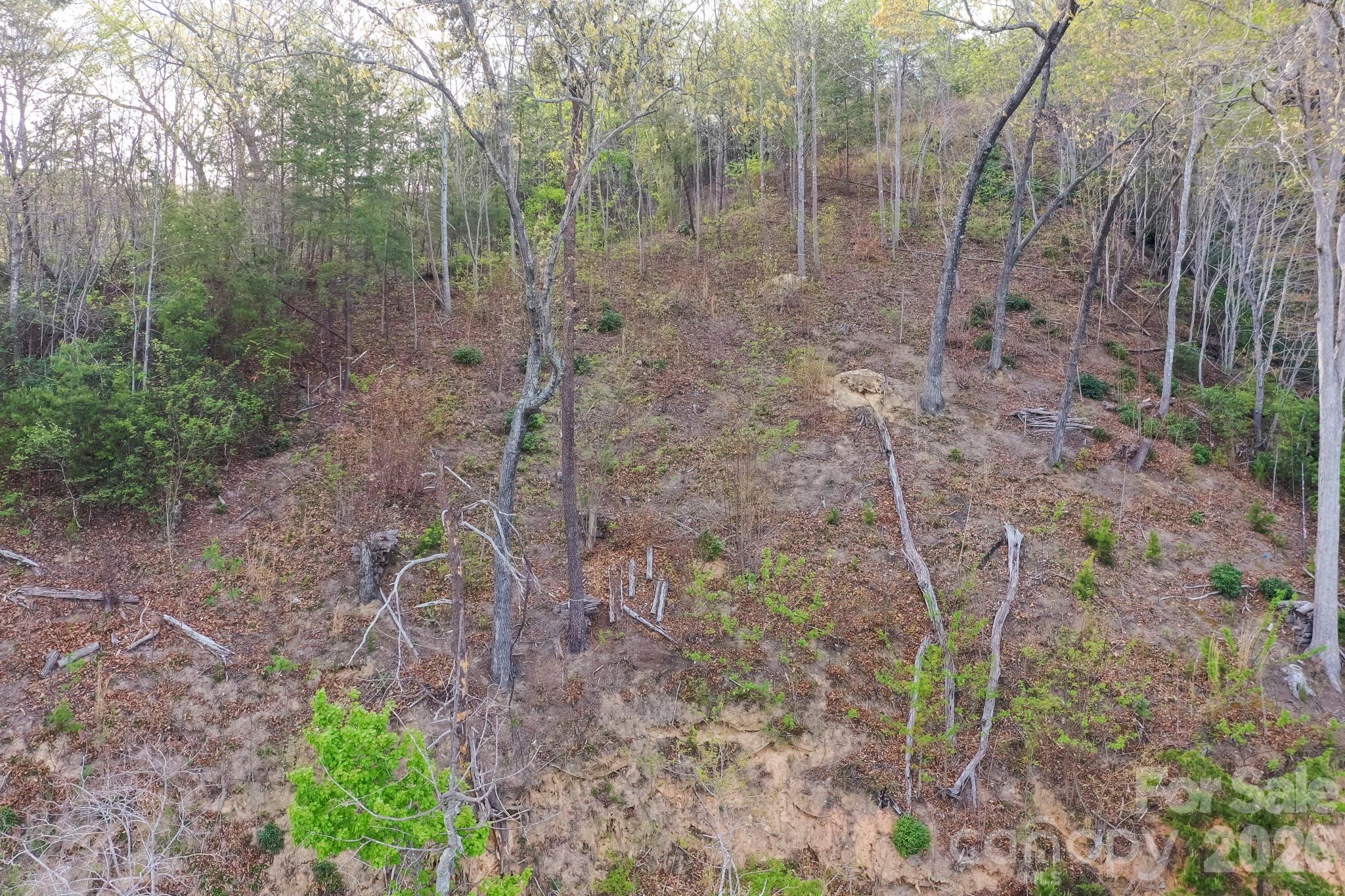 Blue Heron Point - Land