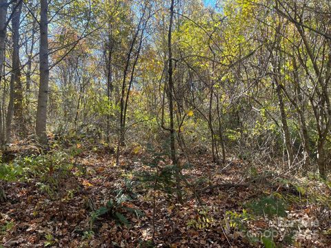 2224 Low Gap Road Hendersonville NC 28792
