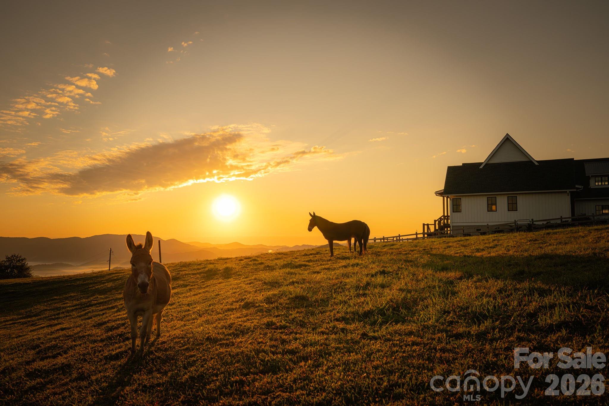 217 Sunrise Vista Lane