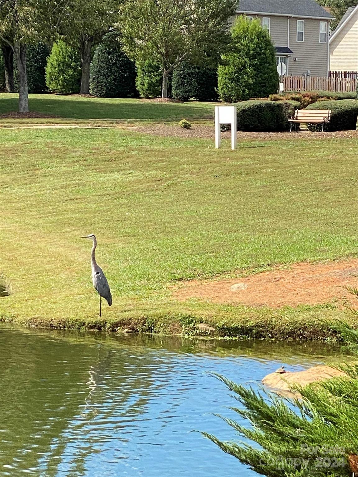 Holly Park - Residential